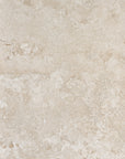 MC00719