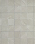 MC00555