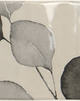 MC00662
