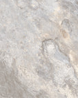 MC00537