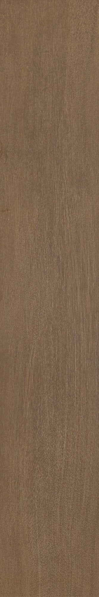 MC00936