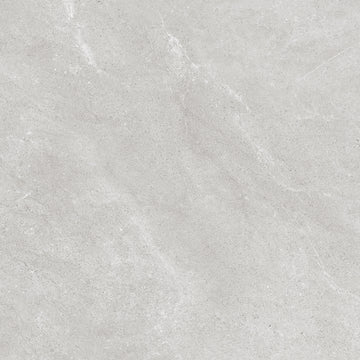 MC00498