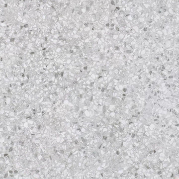 MC00304