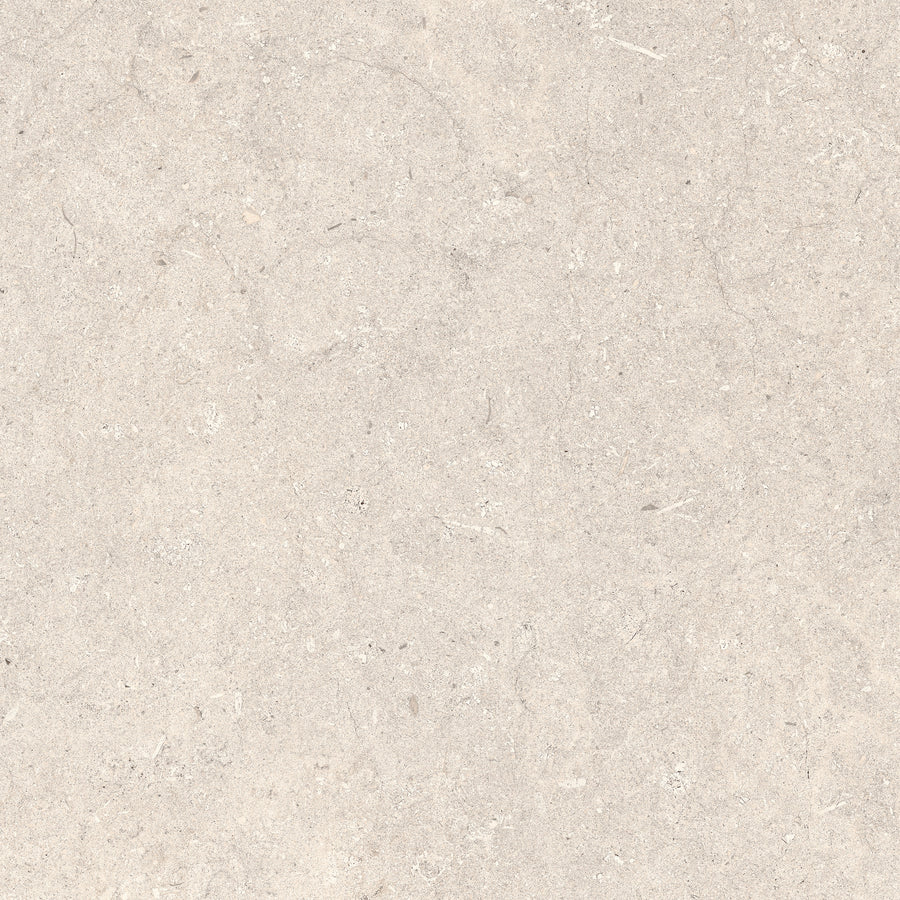 MC00613