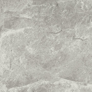 MC00593