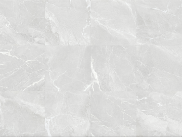 MC00536